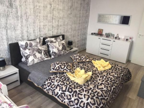 Apartament Mady & Ary Rasnov
